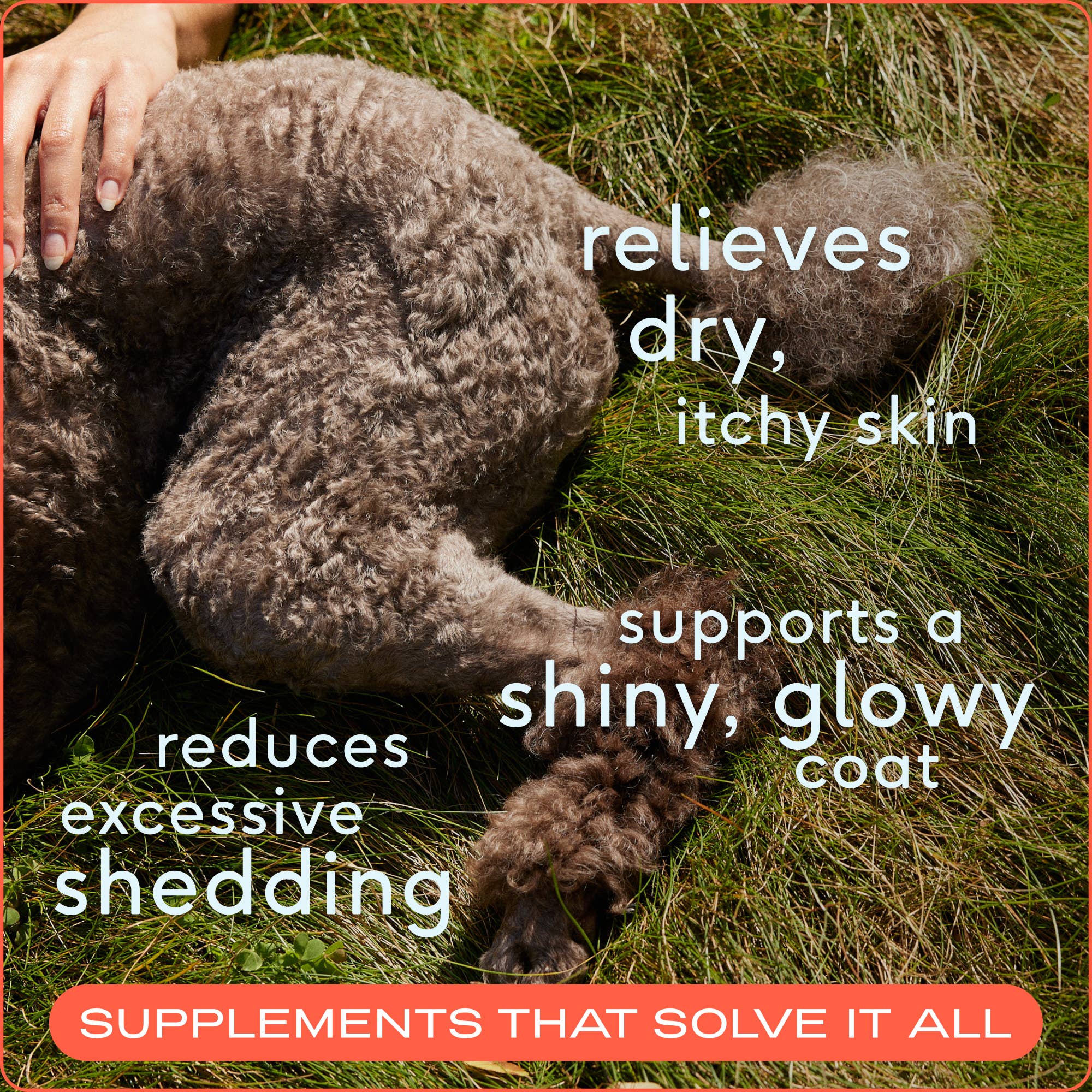 Omega-3 Fish Oil, Skin & Coat Health Supplement for Dogs: 16 oz