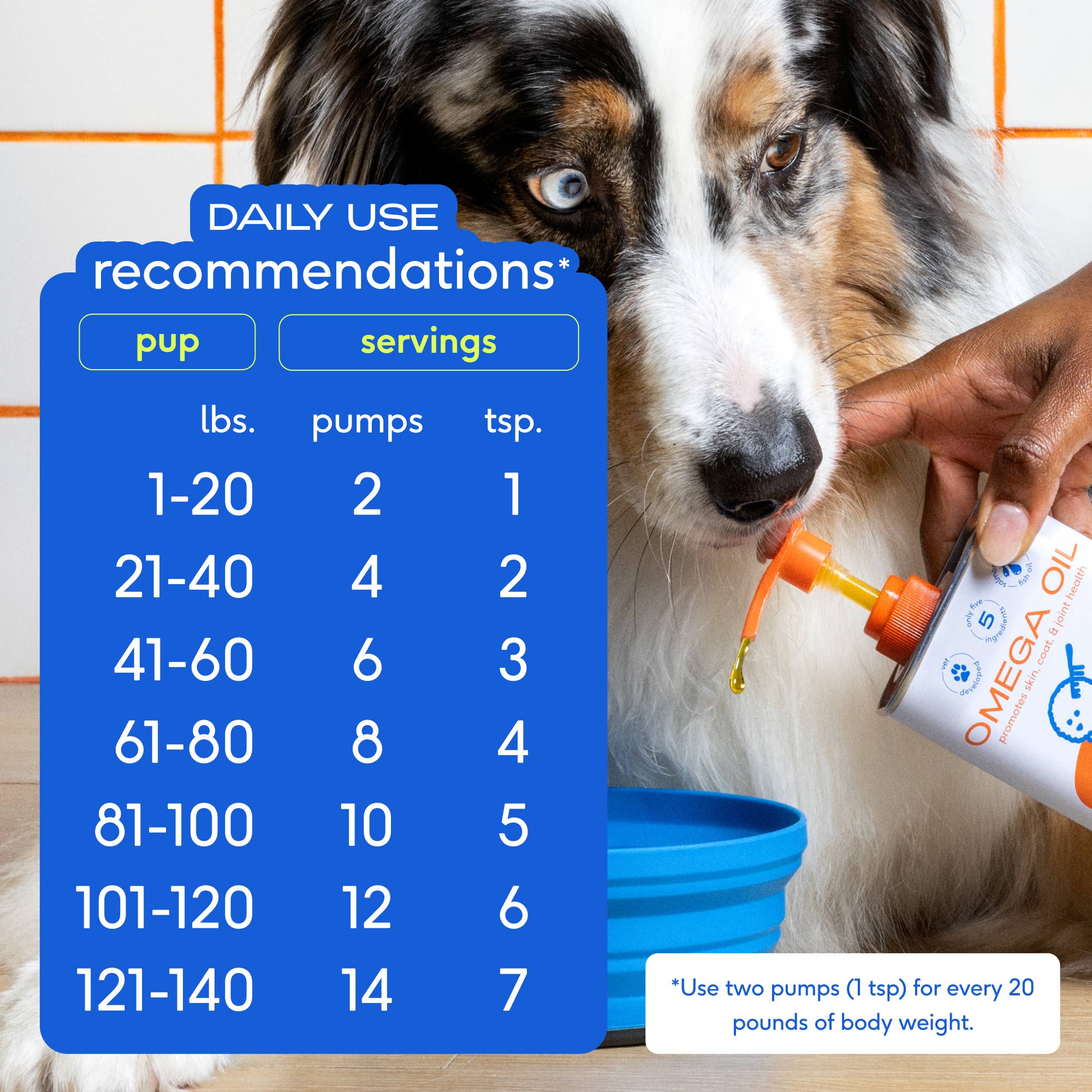 Omega-3 Fish Oil, Skin & Coat Health Supplement for Dogs: 16 oz