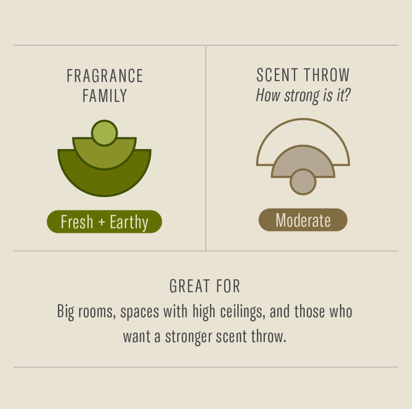 Amber & Moss - Standard Soy Candle