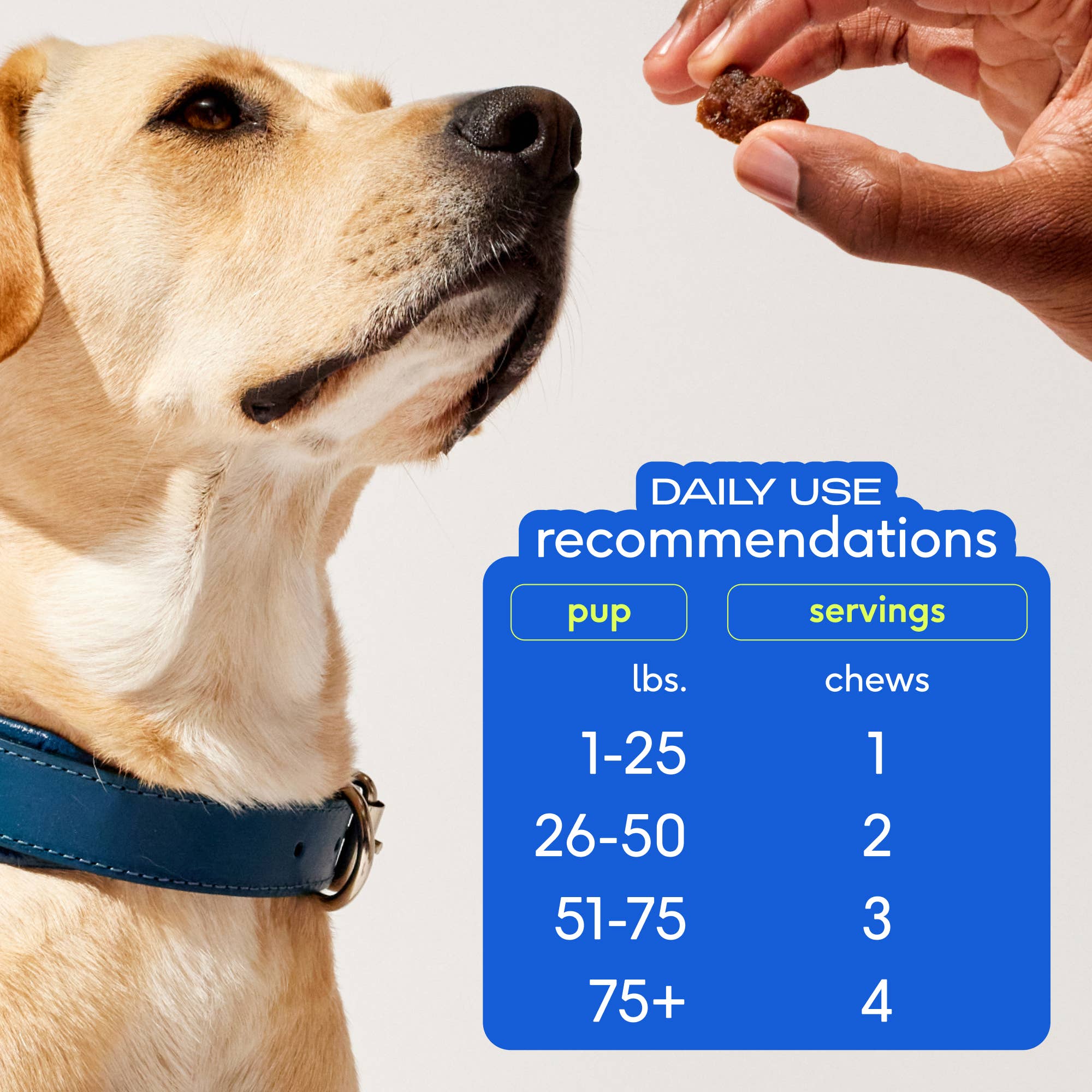 Skin + Coat Chews, Skin & Coat Supplement for Dogs: 60ct