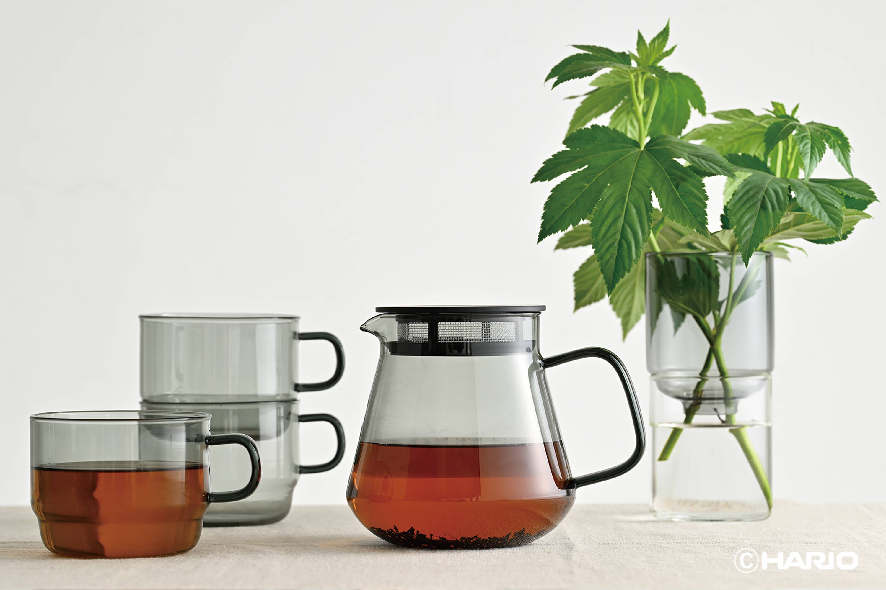HARIO Colors Glass Coffee and Tea Server, 600ml: Amber