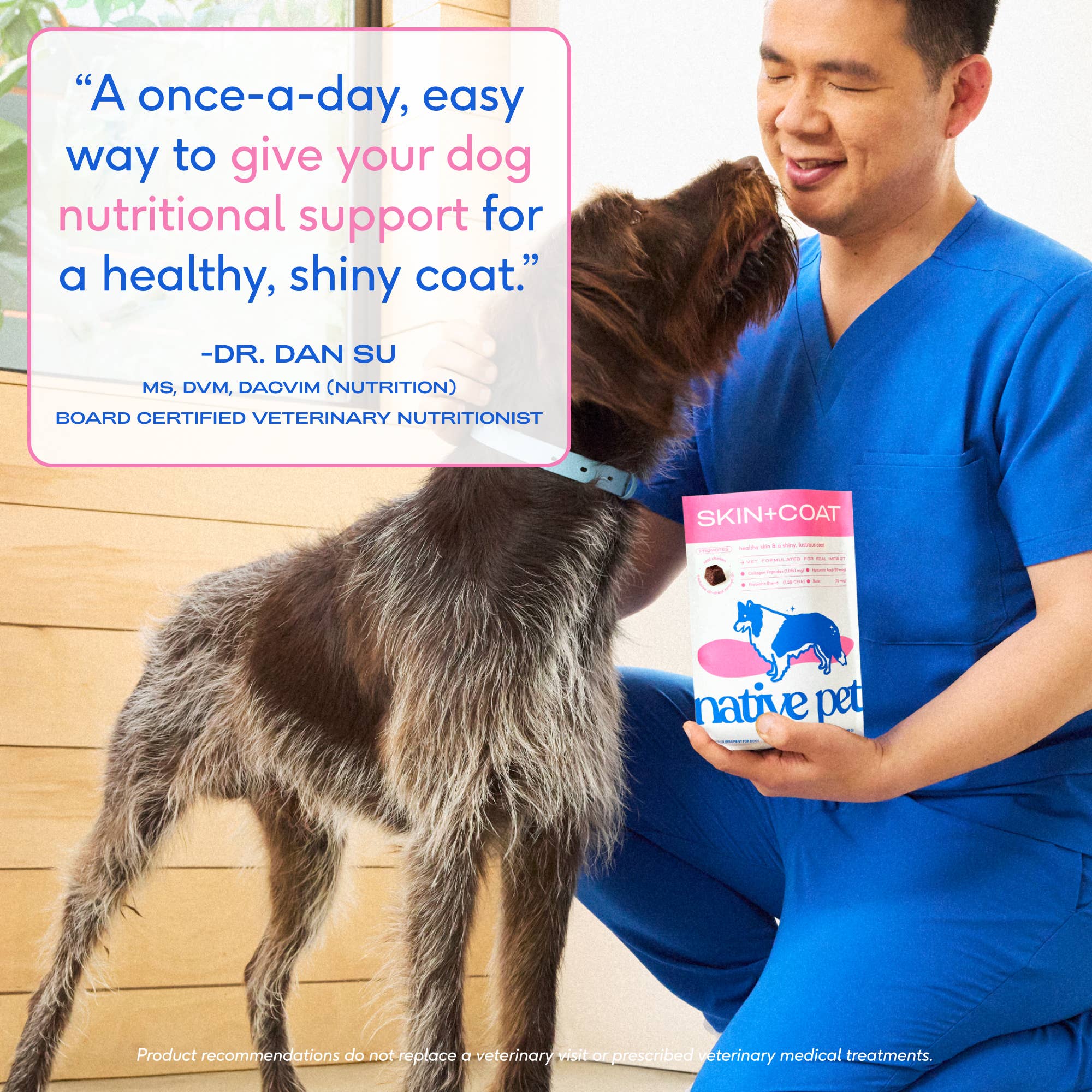 Skin + Coat Chews, Skin & Coat Supplement for Dogs: 60ct