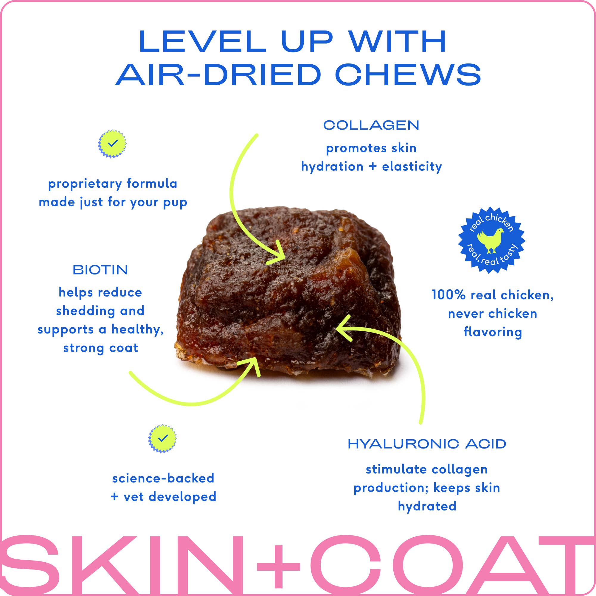 Skin + Coat Chews, Skin & Coat Supplement for Dogs: 60ct