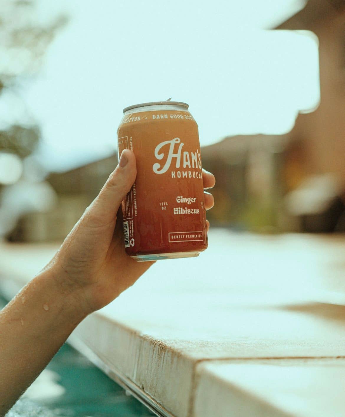 Ginger Hibiscus Kombucha